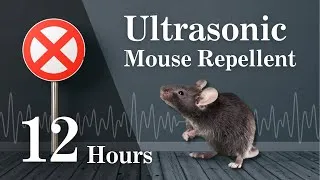 Thumbnail: Powerful Ultrasonic Mouse Repellent | Keep Mice Away | 12 Hours