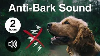 Thumbnail: Anti-Bark Sound | 20kHz High-Frequency Sound to Stop Dogs Barking | 2 Hours