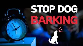 Thumbnail: Stop Dog Barking at Night | Ultrasonic Sound