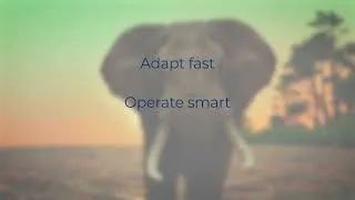 Thumbnail: Evolve- vTech Solution Inc