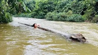Thumbnail: Agricultural vehicles transporting wood in the countryside - this is the full video of the girl.