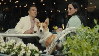 Thumbnail: The refined Tiguan - The Dogs