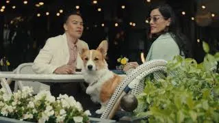 Thumbnail: Le Tiguan raffiné - Les chiens