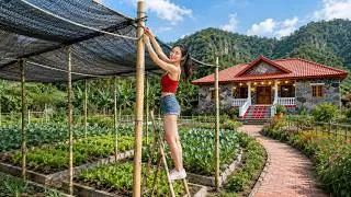 Thumbnail: Vegetable Garden Protection | Building Shelters to Save Crops from Harsh Summer Weather