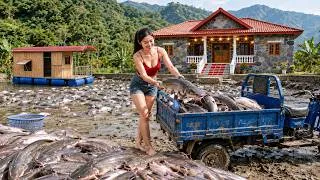 Thumbnail: Harvesting a Big Fish Nest Beneath a Floating House – The Pond Is Full of Fish!