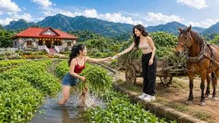 Thumbnail: TIMELASPE -- Harvest Organic Water Spinach | Use a Horse-Drawn Cart to Sell to Ly Tieu Toan