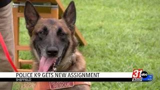 Thumbnail: Sheffield police dog gets new role with search and rescue