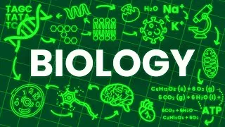 Thumbnail: BIOLOGY explained in 17 Minutes