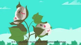 Thumbnail: Why it’s important to monitor for pests
