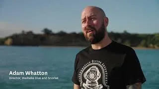 Thumbnail: Waiheke Dive & Snorkel x Qualmark - Scuba & Snorkel Aotearoa New Zealand