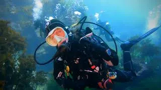 Thumbnail: The Poor Knights Liveaboard - SCUBA Diving New Zealand - Underwater with GoPro Hero9 Black