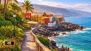 Thumbnail: PUERTO DE LA CRUZ, Tenerife 🇮🇨 Winter Walk Through Punta Brava | 4K Tour