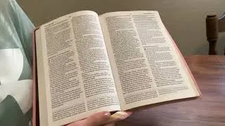 Thumbnail: Amplified Two Tone Bible
