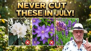 Thumbnail: STOP!  Never cut these plants in July - A beginner gardeners guide