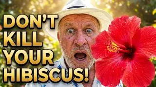 Thumbnail: STOP! You’re Killing Your Hibiscus With These 5 Mistakes