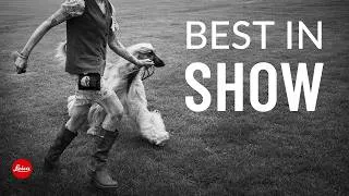 Thumbnail: How I Photograph a Dog Show with a 28mm Lens | POV