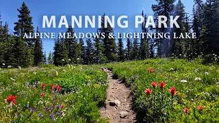 Thumbnail: A Peaceful Hike in Manning Park BC: Alpine Wildflowers & Lightning Lake, All Natural Sights & Sounds