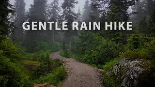 Thumbnail: A Peaceful Rain Hike Through a Lush Old-Growth Forest: Black Mountain, Cypress Mountain Park BC