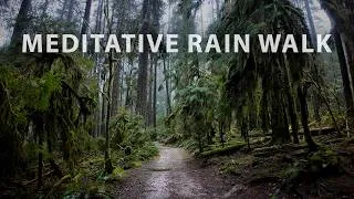 Thumbnail: Meditative Rain Hike in a Lush North Vancouver Forest