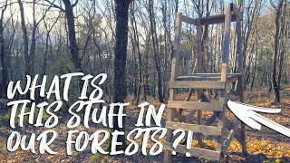 Thumbnail: Can we reach the cliffs without getting shot ? 🌲🚶🏽‍♂️ Walk with Mike 4