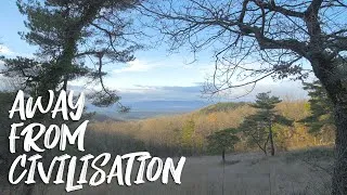 Thumbnail: Getting as far away from civilisation as possible in 15 minutes on foot 🌲🚶🏽‍♂️ Walk with Mike 1