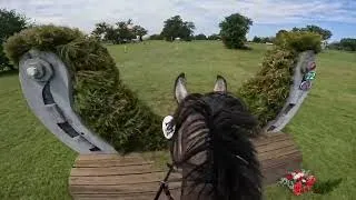 Thumbnail: GoPro: Belline Foody's Out of the Blue (15th Place | Prelim | 2026 American Eventing Championships)