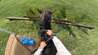 Thumbnail: GoPro: Lissavorra Quality (14th Place | Advanced | 2026 American Eventing Championships)