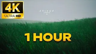 Thumbnail: Wavy Grass Live Wallpaper 4K 🌿 | 1 Hour Relaxing Nature Loop