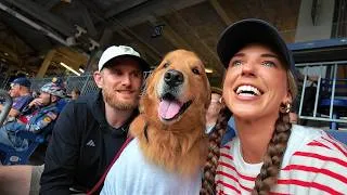 Thumbnail: We Took Our Dog to His First Baseball Game and He Loved It