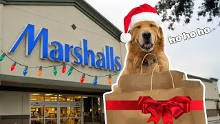 Thumbnail: Letting My Dog Pick Christmas Gifts for Shelter Dogs