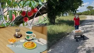 Thumbnail: Silent Vlog🌿Cozy Breakfast at Home☕️| Calm Peach Picking, | Fresh Peach Salsa & Simple Dinner