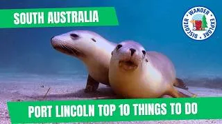 Thumbnail: 🐟  Port Lincoln Top 10 Things to Do | Seafood - Wines - Sea Lions & Stunning Views