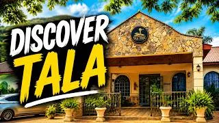 Thumbnail: I Took a Scenic Drive to Tala and Was Surprised!