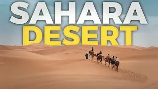 Thumbnail: Explore the Sahara: Desert Travel Guide for First-Timers