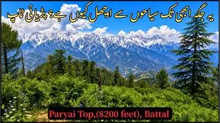 Thumbnail: The Hidden Peak Above the Clouds| Paryai Top Adventure | The Roof of Battal | Hidden Gem in Pakistan