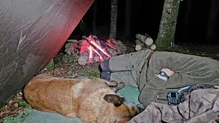 Thumbnail: Something Came Into Our Camp at Night…
