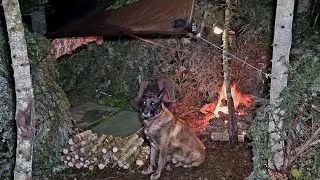 Thumbnail: My Dog and I Spent 2 Days Alone in the Spruce Forest | Bushcraft Survival