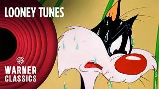 Thumbnail: Looney Tunes | 1 Hour Tweety & Sylvester Compilation | Vol. 8 | Warner Classics