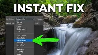 Thumbnail: Your Forest Shots Are Missing This One Thing