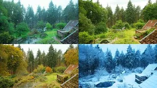 Thumbnail: 1250 day Woodland Garden Time lapse