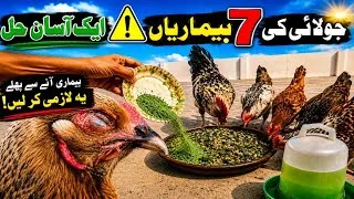 Thumbnail: ⚠️ July Alert! 7 Chicken Diseases | Asaan Solution
