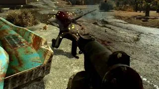 Thumbnail: What Combat Looks Like In Fallout New Vegas With Over 500 Mods