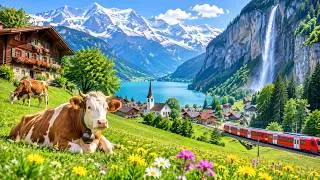 Thumbnail: 🏔️A Journey Through Paradise! This Is Why Everyone Wants to Visit Switzerland!