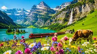 Thumbnail: 🇨🇭Discover the Magic of Switzerland!🏔️Swiss Alps Beauty: Meadows, Lakes & Mountains |