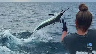 Thumbnail: Women to compete in offshore sportfishing tournament in Virginia Beach Sunday