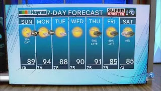 Thumbnail: WAVY Weather Night Update | Aug. 15, 2026