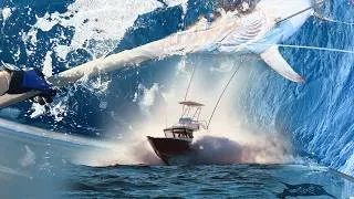 Thumbnail: WA's first SATELLITE tagged SWORDFISH  !!