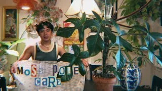 Thumbnail: Maintenance Required: Moss pole care | Houseplant Chores 