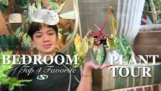Thumbnail: My Houseplant Collection is Out of Control… (Top 4 Favorites!)