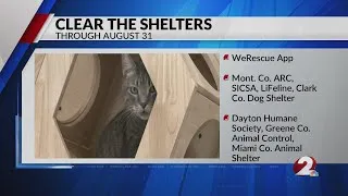 Thumbnail: Clear the Shelters starts today, runs through Aug. 31